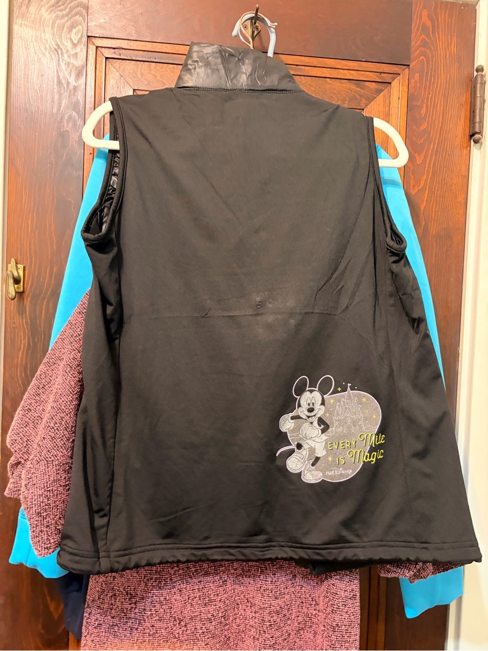 RunDisney Vest - Picture 3 of 5